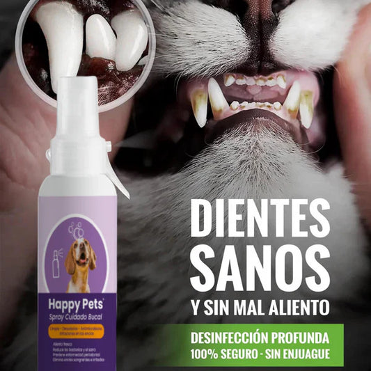 Enjuague bucal para mascotas